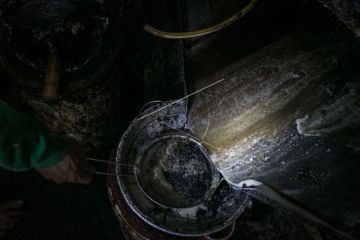 Produksi minyak goreng dari biji kapuk randu