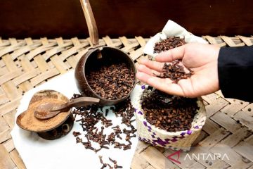 Pameran aroma rempah jejak sejarah di Museum Aceh