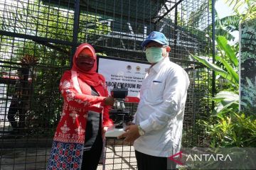 Universitas Lambung Mangkurat totalitas dukung konservasi bekantan