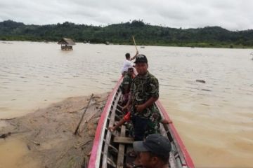 Belasan hektare sawah di Tapanuli Selatan terancam puso akibat banjir
