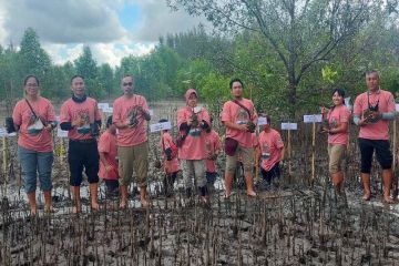 DLHK Seruyan Kalteng dan Rimba Raya tanam mangrove cegah abrasi