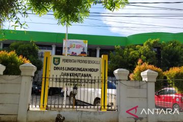 DLHK minta KLHK tinjau ulang izin dua perusahaan di Bengkulu