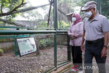 Wapres mengisi akhir pekan dengan olahraga jalan pagi di TMII