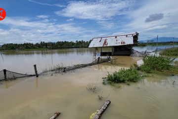 2143 warga terdampak banjir di Bireuen Aceh