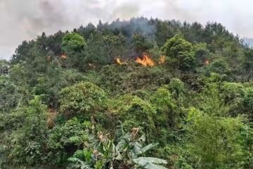 Boeing siap bantu penyelidikan kecelakaan pesawat di China selatan