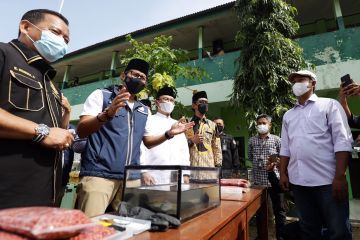 Buka lapangan kerja, Sandiaga Uno ajak warga budidaya lele