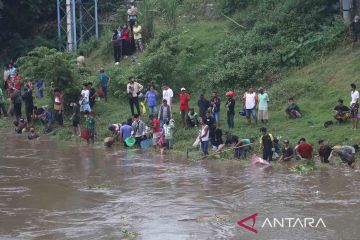 Mencari ikan saat musim pladu di Sungai Brantas