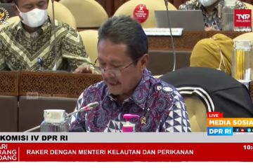 Menteri KP pastikan stok ikan aman jelang Ramadhan dan Idul Fitri