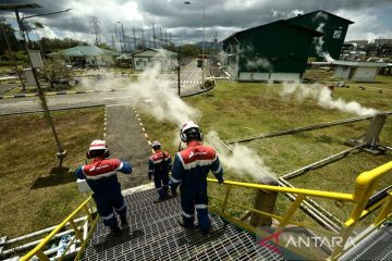 Delapan inisiatif Pertamina perluas portofolio energi hijau