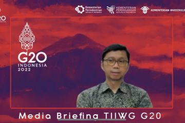 RI kedepankan persamaan pandangan anggota G20 dalam reformasi WTO