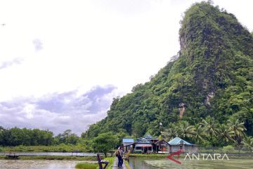 Pertanian organik sebagai daya tarik ekowisata