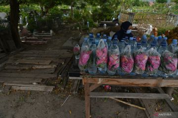 PENJUAL BUNGA TABUR