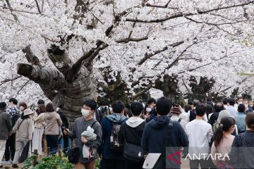 Jepang buka kembali perbatasan untuk dorong pariwisata