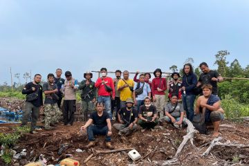 Seorang pekerja tewas diterkam harimau di Jambi