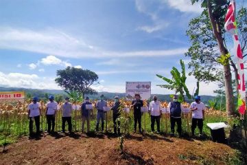 Startup Crowde gandeng BUMDes Jabar bantu petani