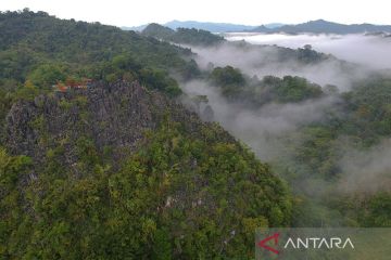 Bahlil cabut 15 izin konsesi kawasan hutan