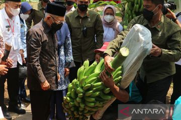 Wapres sebut pasar ekspor hortikultura masih sangat besar