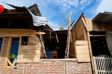 Angin kencang, rumah warga Bireuen Aceh tertimpa pohon kelapa