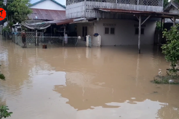 Curah hujan tinggi, sejumlah rumah di Kabupaten Bireuen Aceh terendam