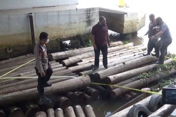 Ditpolairud Polda Kalsel amankan ratusan kubik kayu diduga ilegal