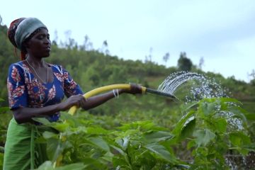 FAO hadir di Rwanda penuhi kebutuhan air