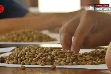 Menko Airlangga dorong pengusaha promosi kopi Indonesia ke luar negeri
