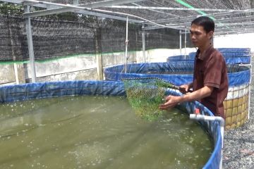 Pemkot Banjarmasin salurkan bantuan pengembangan budi daya ikan