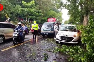 Pohon tumbang timpa mobil dan sepeda motor