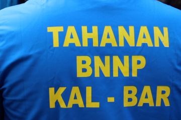BNNP Kalbar gagalkan pengiriman ganja asal Kota Medan