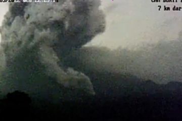 Gunung Semeru embuskan awan panas setinggi 1.000 meter