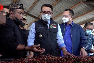 Ridwan Kamil lepas ekspor kopi Garut senilai Rp4 miliar ke Belanda