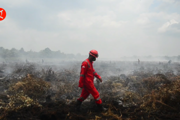 Riau resmi tetapkan status siaga darurat karhutla