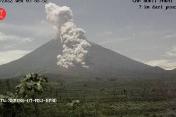 Semeru luncurkan awan panas sejauh 4 km