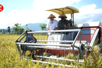 Solusi empat kali musim tanam padi dari BPTP Gorontalo