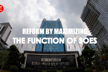 Reform by maximizing the function of Soes