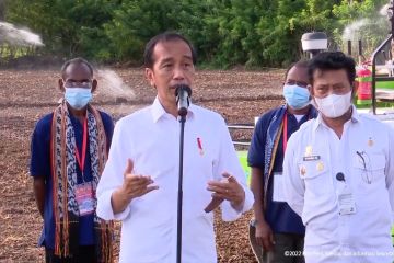 Presiden buka 53 hektare lahan pertanian di Kabupaten Belu