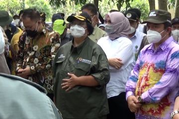 Tinjau hutan hujan tropis Kalsel, Menteri LHK isyaratkan dicontoh IKN