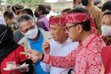 Kota Bogor siap promosikan kacang koro gantikan kacang kedelai
