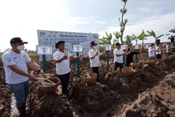 PTPN IX - Pemkab Batang bekerja sama perluasan areal tanam tebu