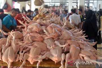 Kenaikan harga daging jelang Ramadhan