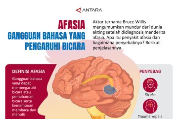 Afasia, gangguan bahasa yang pengaruhi bicara