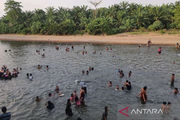 Sambut Ramadhan, ribuan warga di Mukomuko mandi "balimau" di sungai