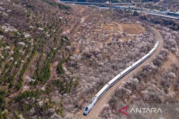 Panorama musim semi Kota Beijing dari balik kereta