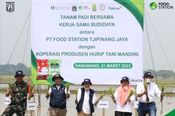 Untuk pasokan beras Jakarta, Food Station gandeng petani Karawang