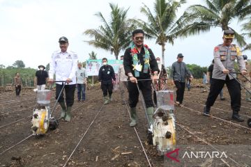 Kabupaten Bone berpeluang produksi minyak goreng sendiri