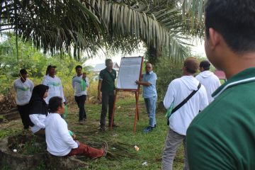 Wilmar tingkatkan kapabilitas pengelolaan kebun sawit petani swadaya