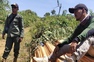 KPHP Mukomuko temukan kayu ilegal di hutan negara