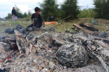 Kelapa Muda Bakar Khas Ramadhan