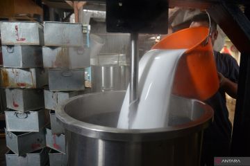 PRODUKSI CINCAU MENINGKAT BULAN RAMADHAN