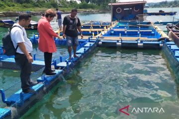 BRIN bantu pembudidaya ikan pemula di Kota Ambon
